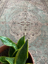 Load image into Gallery viewer, Griffin | 7’3 x 4’11