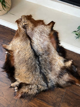 Load image into Gallery viewer, Goat Skin Rugs No.1010 2’4 x 3’