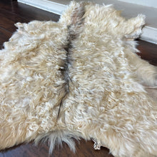 Load image into Gallery viewer, Goat Skin Rug No.1015 2’7 x 3’1