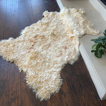 Load image into Gallery viewer, Goat Skin Rugs No.1012 3’ x 3’6