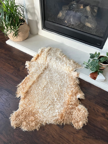 Goat Skin Rug No.1006 3’4 x 3’7