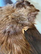 Load image into Gallery viewer, Goat Skin Rugs No.1011 2’8 x 3’
