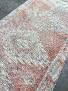 Runner rug 2’8 x 13’1