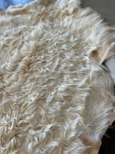 Load image into Gallery viewer, Goat Skin Rugs No.1013 3’ x 3’9