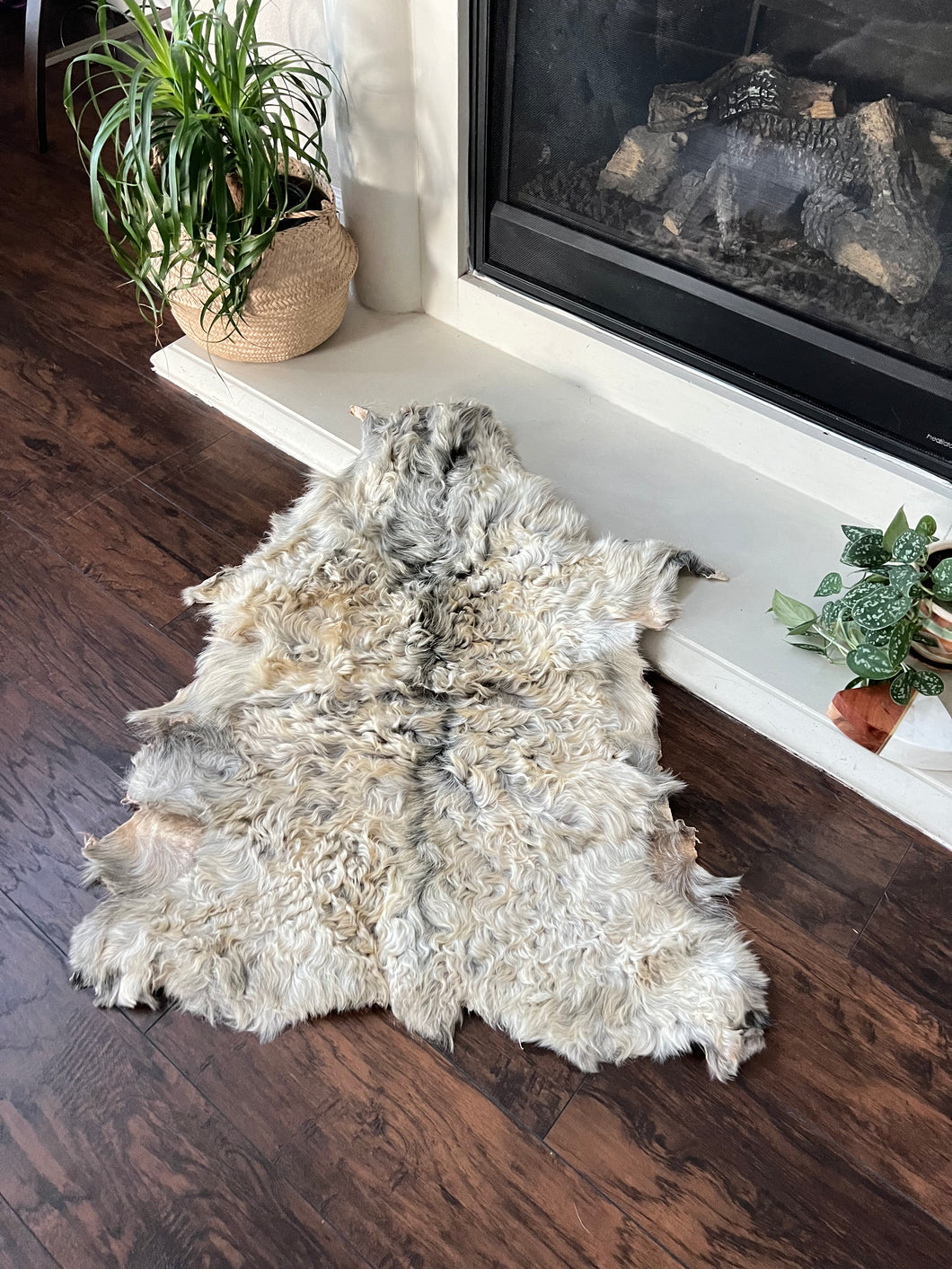 Goat Skin Rug No.1005 2’9 x 3’5