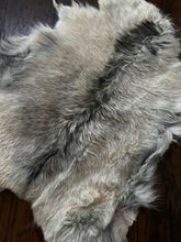 Load image into Gallery viewer, Goat Skin Rug No.1007 2’5 x 3’