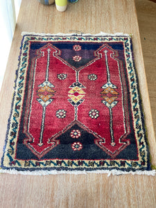 Turkish Handknotted Small Rug | 20”x24”